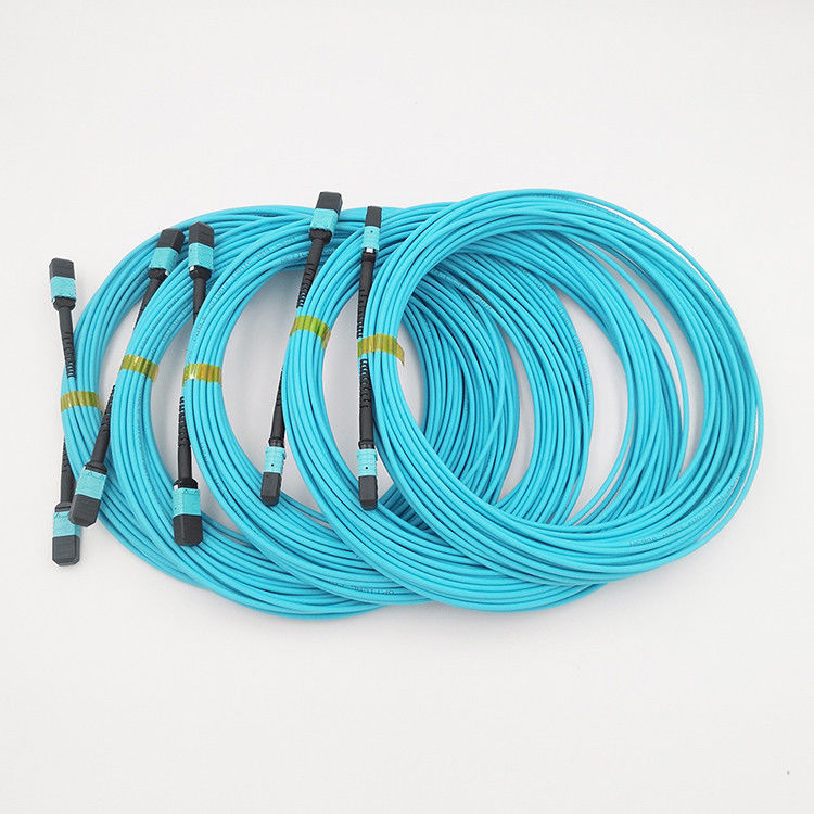 Hochiry MPO / MTP Trunk Cable 12 Fibers Type B Multimode OM4 Fiber Patch Cord