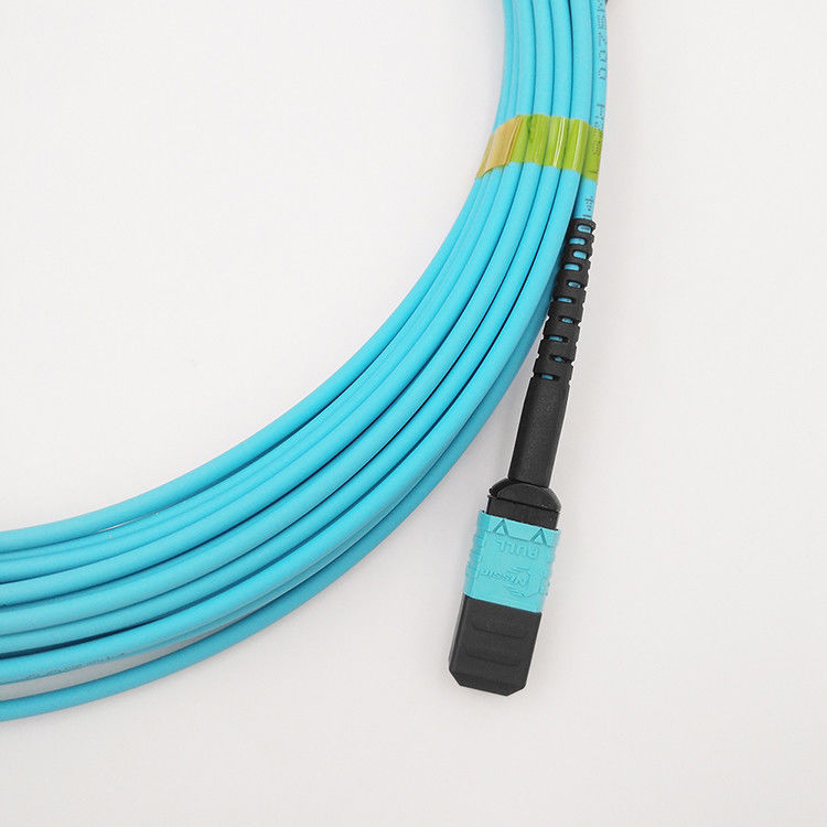 Hochiry MPO / MTP Trunk Cable 12 Fibers Type B Multimode OM4 Fiber Patch Cord